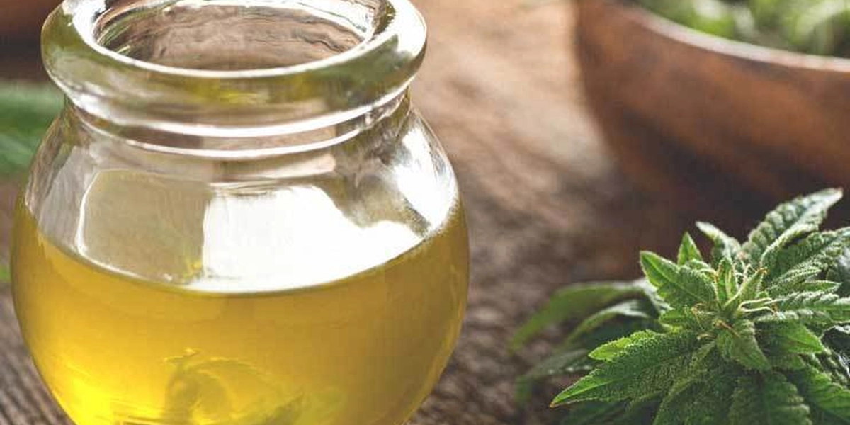 Canadians receive lifetime bans after being caught carrying CBD oil in US-Canada border