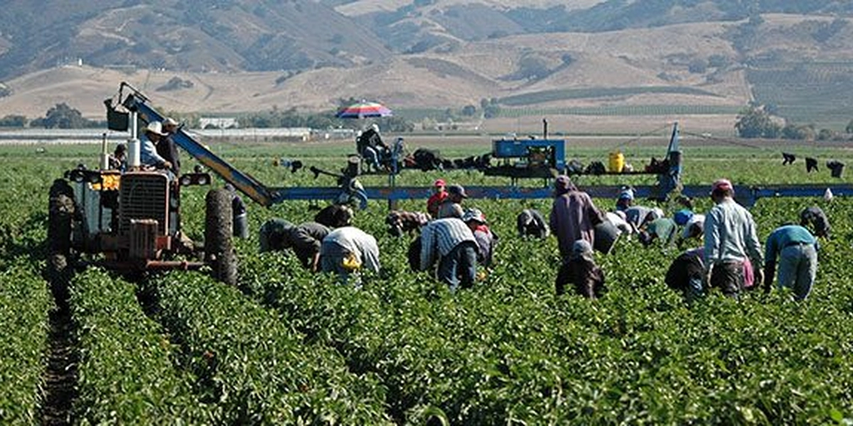Canada recognizes that it cannot contain the transmission of COVID-19 on agricultural farms